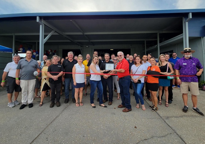 American Import Auto