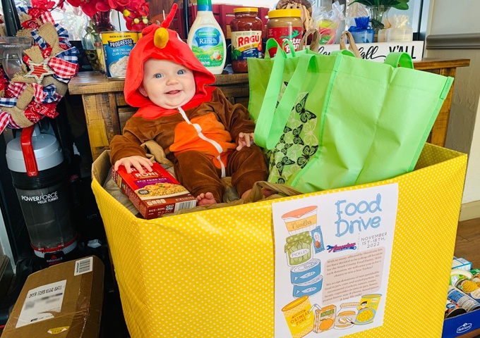 American Import Auto